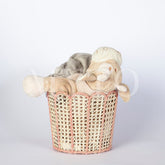 Scalloped Bucket Container Pink